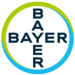 Bayer Bayer