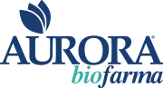 aurora blu e azzurro vettoriale aurora blu e azzurro vettoriale